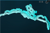 Insight Genesis Grants Reef.PNG