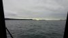 20170321_085941.jpg