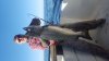 20160811_090409.jpg