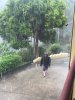 IMG-20170419-WA0007.jpg