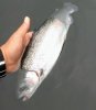 IMG_20170425_151008893.jpg