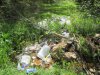 2017 May garbage at Comox Main 003.JPG