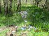 2017 May garbage at Comox Main 004.JPG
