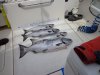 DSC00946.JPG