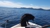 20170522_165306.jpg