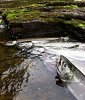 IMG_0219.JPG