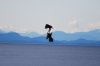 DSC_0117.JPG
