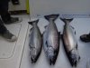 DSC00997.JPG