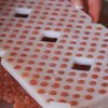 IncubatorLoadingTray.jpg