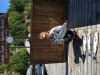 IMG_0284.JPG