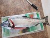 20170724_141303.jpg