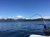 IMG_4313.JPG