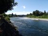 DSCF2396.JPG