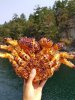 IMG-20170801-WA0002.jpg