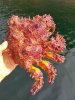 IMG-20170801-WA0001.jpg