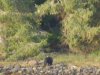 DSC01023.JPG