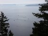 20170910_085342.jpg
