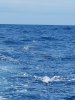 20170911_114606_resized.jpg