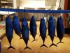 20170914_195626_resized.jpg