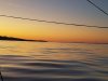20170915_064159_resized.jpg