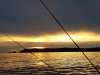 20170915_191500_resized.jpg
