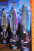 3MATRIXX-gp-rb-blue-RULER.jpg
