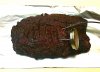 20180118_170014.jpg