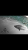47D8D495-DE99-4CDF-84E3-71F2A913B41B.png
