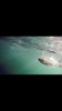 D75F7638-09BB-4C5B-94F7-21BE5EA83BF1.png