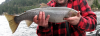 Tagged_Fish_2_17_2018.png