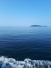 20180729_101957.jpg