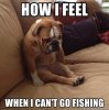 how-i-feel-when-i-cant-go-fishing.jpg