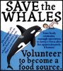 funny_save_the_whales_satire_spoof_humor-r91c2ec537eb946929e0f61f24f46808a_xvuat_8byvr_307.jpg