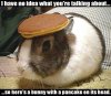 BunnyPancake.jpg