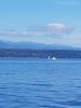 20180828_110950.jpg