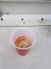 20180909_135332_resized.jpg