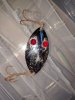 IMG_20181006_085710.jpg