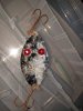IMG_20181006_085726.jpg