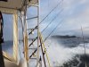 20180910_074634_resized_1 (1).jpg