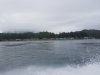 20180910_175133_resized.jpg