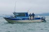 WC-Cuddy-King-w-salmon-2xoct3kprtn0u8snep4wsg.jpg