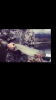 E9A30707-2D8D-462A-9896-EB5FBAA737C4.png