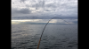 93A4F373-F548-4681-8DF4-E40DCC8E73DF.png