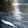 IMG_0545.JPG