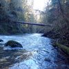 IMG_20190115_114815.jpg