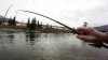 Elk River 2 October 2018 4.jpg