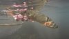 Elk River 2 October 2018 8.jpg