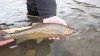 Elk River 2 October 2018 3.jpg