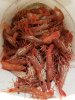 Resized_20190125_182432(1).jpeg