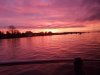 Resized_20190125_171435.jpeg